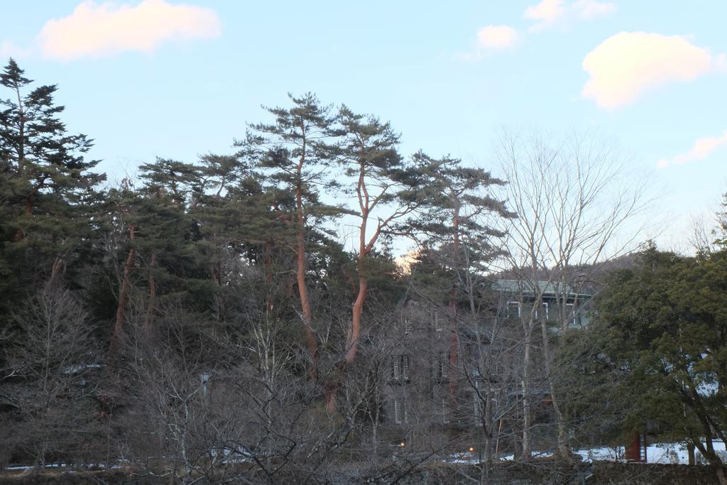 Hotel Seikoen Nikko Esterno foto